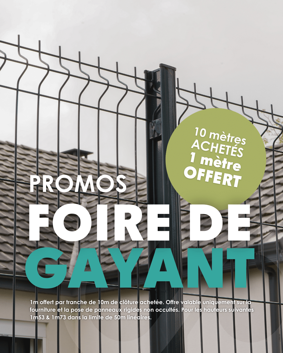 Foire de Gayant 3